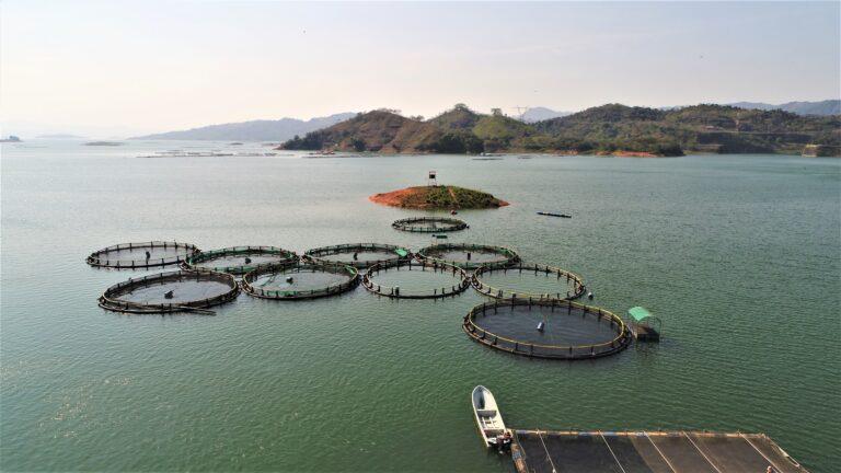 Regal Springs* extiende su operación a México, en la región de Chiapas, bendecida con lagos de agua dulce