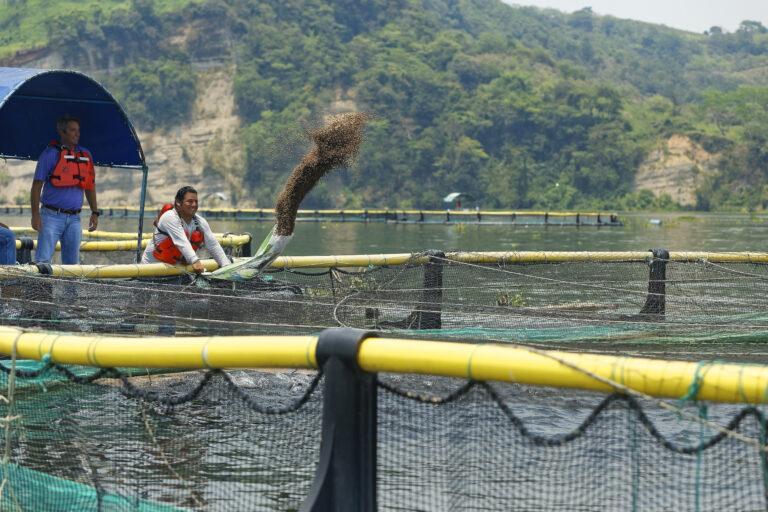 Regal Springs* integra todos sus programas comunitarios, educativos y de salud en el programa de sustentabilidad “CUIDAMOS”