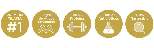 regal_spring_iconos_sitio