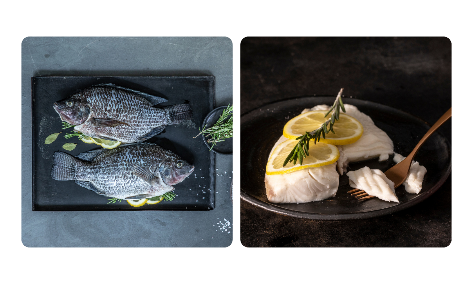 tilapia-o-mojarra-1630x980